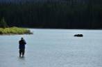 Fotografando um alce que se alimenta no Maligne Lake, no Jasper National Park, em Alberta, no Canadá